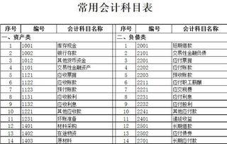 國(guó)家投資什么會(huì)計(jì)科目