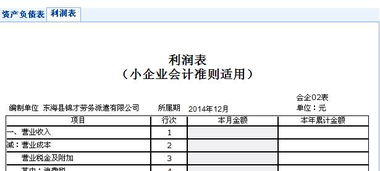 小企業(yè),會計(jì)準(zhǔn)則,會計(jì)科目