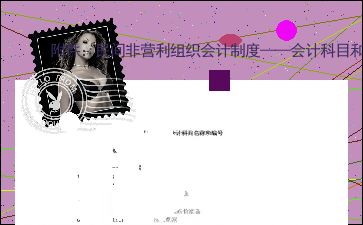 民間非營(yíng)利組織會(huì)計(jì)制度會(huì)計(jì)科目,政府與非營(yíng)利組織會(huì)計(jì)會(huì)計(jì)科目,民間非營(yíng)利組織會(huì)計(jì)科目管理費(fèi)用