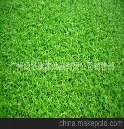 建造固定資產(chǎn)會計(jì)科目,草坪計(jì)入什么會計(jì)科目,建造廠房屬于什么會計(jì)科目
