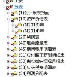 現(xiàn)金流量表,會計科目,查詢