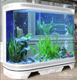 清洗空調會計科目,辦公室魚缸會計科目,單位買的魚缸入什么會計科目