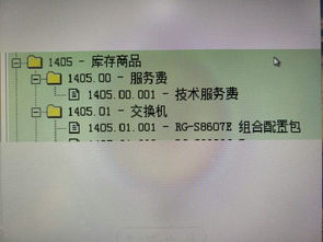 明細(xì),會(huì)計(jì)科目