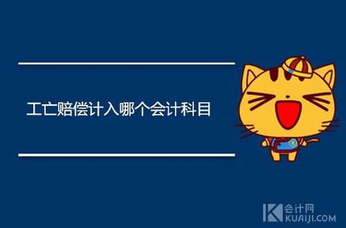 個(gè)人繳納社保會(huì)計(jì)科目,社保放哪個(gè)會(huì)計(jì)科目,社保個(gè)人部分會(huì)計(jì)科目