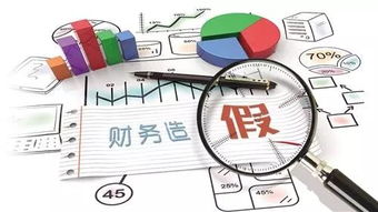 財(cái)務(wù)造假會(huì)計(jì)科目