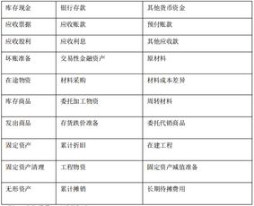 負(fù)債類的會(huì)計(jì)科目,負(fù)債類會(huì)計(jì)科目包括,常用負(fù)債類會(huì)計(jì)科目