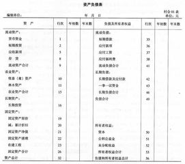 集體經(jīng)濟,會計科目,農(nóng)村,組織