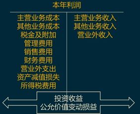 損益會(huì)計(jì)科目借和貸