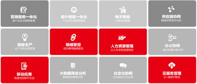 u8會計科目模糊查詢