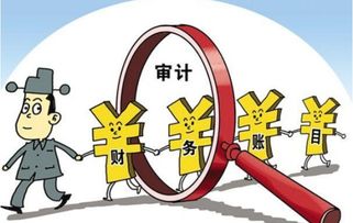 支付財務部審計費會計科目