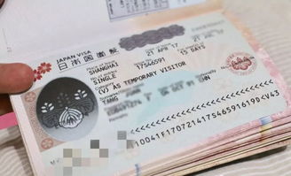 簽證費(fèi)計(jì)入什么會(huì)計(jì)科目,工程簽證費(fèi)計(jì)入什么會(huì)計(jì)科目,APEC簽證費(fèi)屬于哪個(gè)會(huì)計(jì)科目