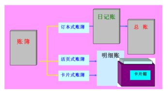 建賬,養(yǎng)豬場,會計(jì)科目,有哪些
