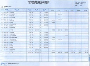 適合項(xiàng)目核算的會計科目