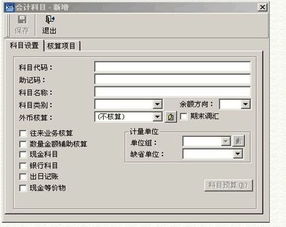 做什么,接口,會(huì)計(jì)科目,軟件