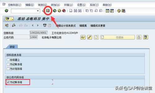sap中凍結(jié)會計科目表