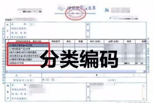 收購(gòu)蔬菜收到發(fā)票會(huì)計(jì)科目