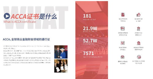 以使用的會計科目可以增加下級科目