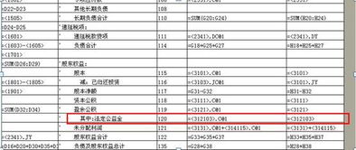 全稱,會計(jì)科目,顯示,kis