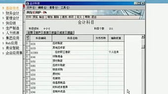 輔助,會計科目,設置,內容