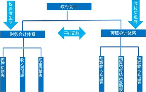會計科目,政府