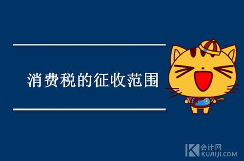 產(chǎn)品消費(fèi)稅會(huì)計(jì)科目