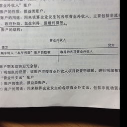 借方,負(fù)數(shù),營(yíng)業(yè),成本