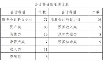 會計科目,設(shè)置,政府