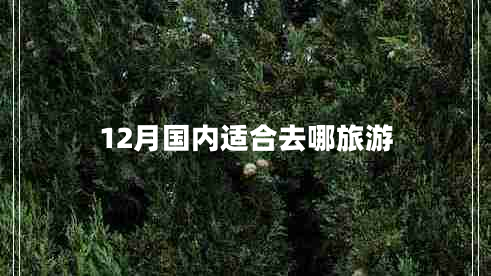 12月國內(nèi)適合去哪旅游