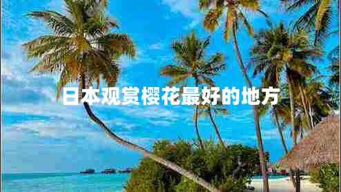 日本觀賞櫻花最好的地方