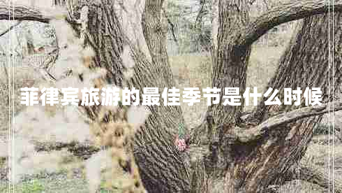 菲律賓旅游的最佳季節(jié)是什么時候