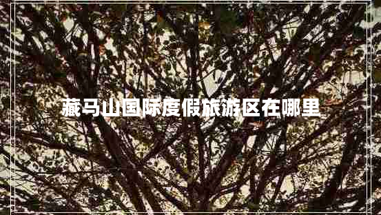 藏馬山國(guó)際度假旅游區(qū)在哪里