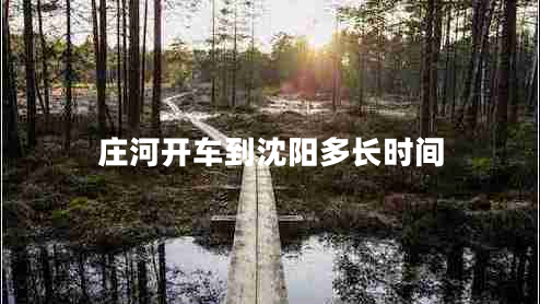 莊河開車到沈陽多長時間