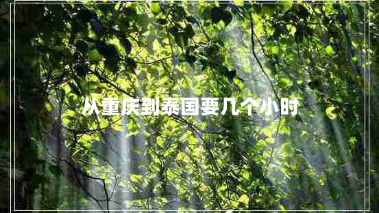 從重慶到泰國要幾個小時