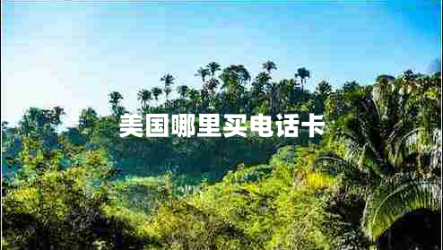 美國哪里買電話卡