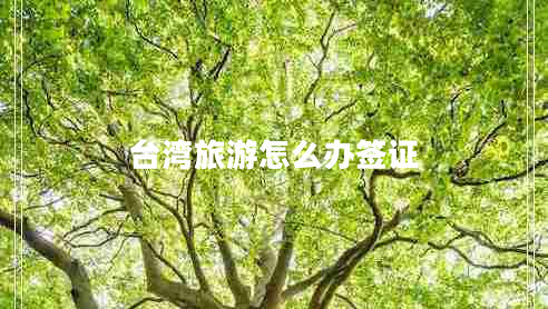 臺(tái)灣旅游怎么辦簽證