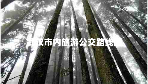 武漢市內(nèi)旅游公交路線圖