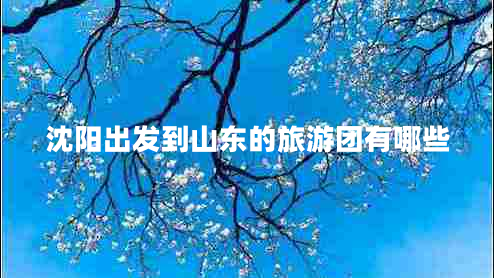 沈陽出發(fā)到山東的旅游團有哪些