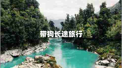 帶狗長途旅行