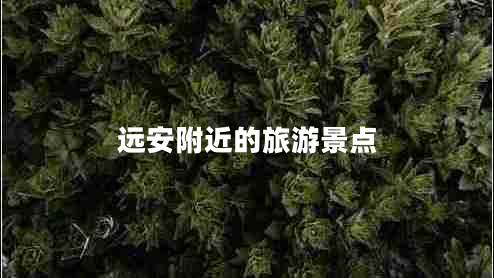 遠(yuǎn)安附近的旅游景點