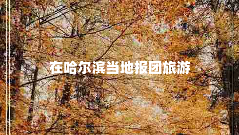 在哈爾濱當(dāng)?shù)貓?bào)團(tuán)旅游