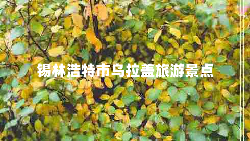 錫林浩特市烏拉蓋旅游景點