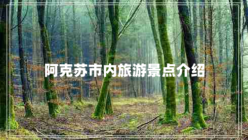 阿克蘇市內旅游景點介紹