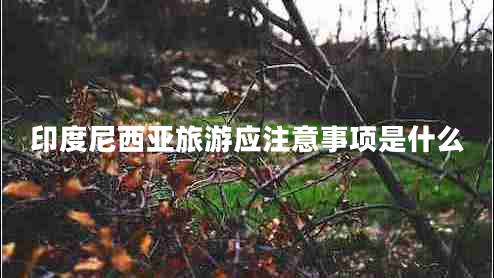 印度尼西亞旅游應(yīng)注意事項(xiàng)是什么