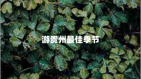 游貴州最佳季節(jié)