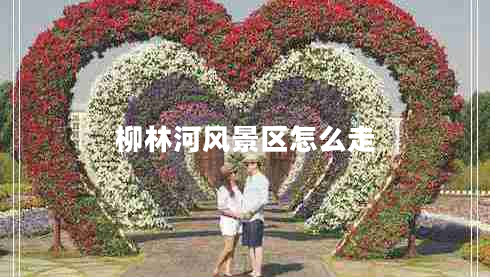 柳林河風景區(qū)怎么走