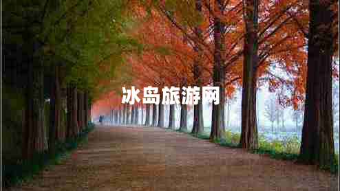 冰島旅游網