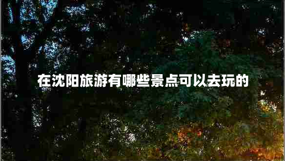 在沈陽旅游有哪些景點(diǎn)可以去玩的