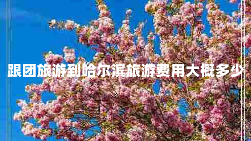 跟團(tuán)旅游到哈爾濱旅游費用大概多少