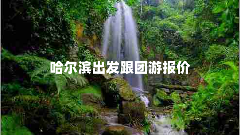 哈爾濱出發(fā)跟團(tuán)游報價