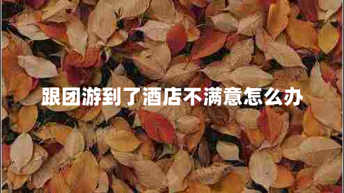 跟團(tuán)游到了酒店不滿(mǎn)意怎么辦